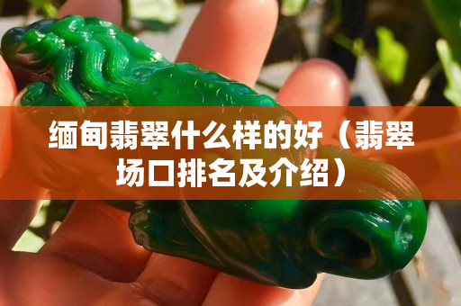 缅甸翡翠什么样的好（翡翠场口排名及介绍）