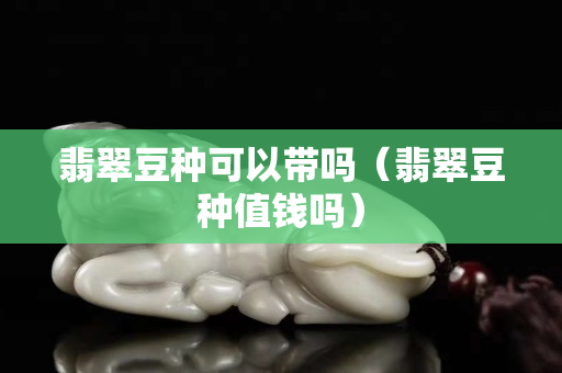 翡翠豆种可以带吗（翡翠豆种值钱吗）