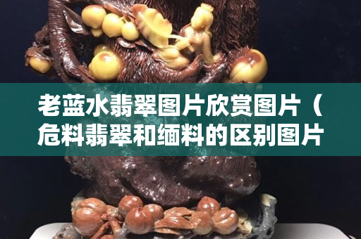 老蓝水翡翠图片欣赏图片（危料翡翠和缅料的区别图片）