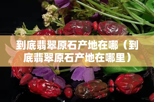 到底翡翠原石产地在哪（到底翡翠原石产地在哪里）