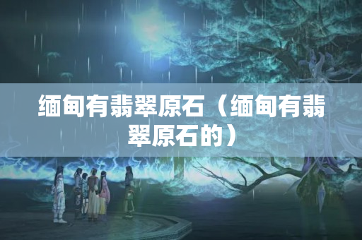 缅甸有翡翠原石（缅甸有翡翠原石的）