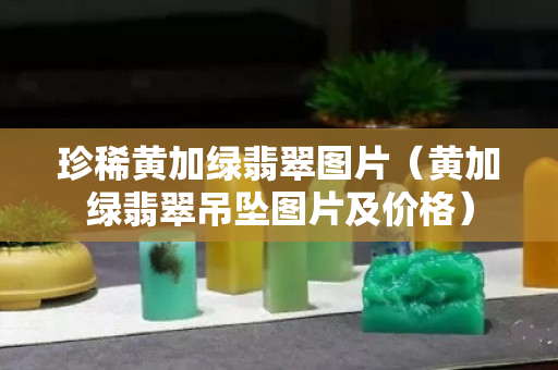 珍稀黄加绿翡翠图片（黄加绿翡翠吊坠图片及价格）