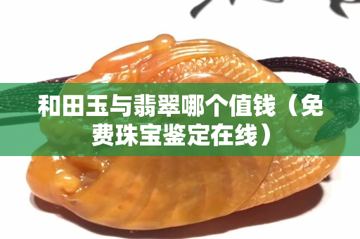 和田玉与翡翠哪个值钱（免费珠宝鉴定在线）