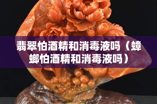 翡翠怕酒精和消毒液吗（蟑螂怕酒精和消毒液吗）