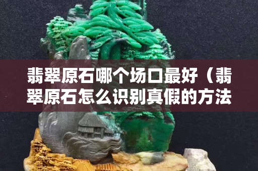 翡翠原石哪个场口最好（翡翠原石怎么识别真假的方法）