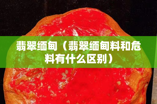 翡翠缅甸（翡翠缅甸料和危料有什么区别）