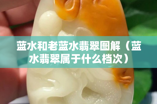 蓝水和老蓝水翡翠图解（蓝水翡翠属于什么档次）