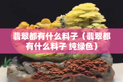 翡翠都有什么料子（翡翠都有什么料子 纯绿色）