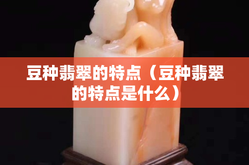 豆种翡翠的特点（豆种翡翠的特点是什么）