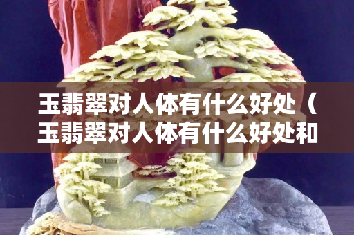 玉翡翠对人体有什么好处（玉翡翠对人体有什么好处和坏处）