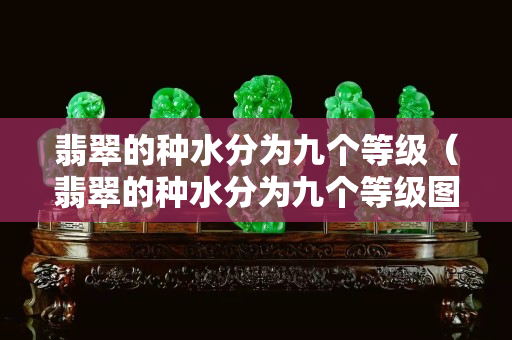 翡翠的种水分为九个等级（翡翠的种水分为九个等级图片）