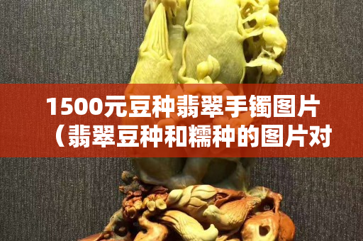 1500元豆种翡翠手镯图片（翡翠豆种和糯种的图片对比）