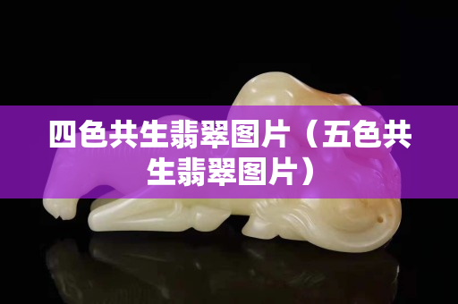 四色共生翡翠图片（五色共生翡翠图片）