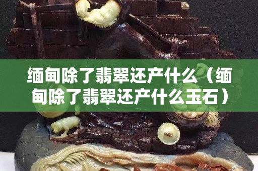 缅甸除了翡翠还产什么（缅甸除了翡翠还产什么玉石）