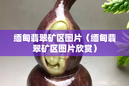 缅甸翡翠矿区图片（缅甸翡翠矿区图片欣赏）
