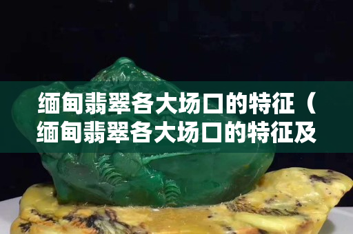 缅甸翡翠各大场口的特征（缅甸翡翠各大场口的特征及图片）