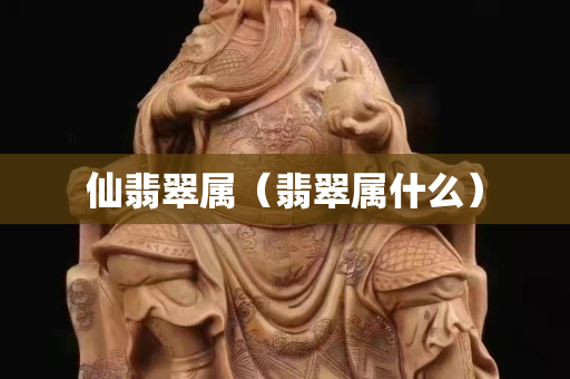 仙翡翠属（翡翠属什么）
