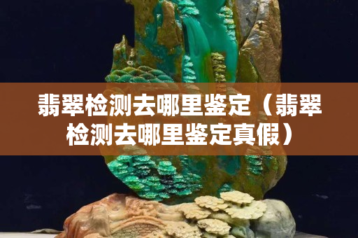 翡翠检测去哪里鉴定（翡翠检测去哪里鉴定真假）