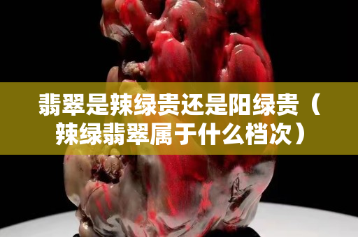 翡翠是辣绿贵还是阳绿贵（辣绿翡翠属于什么档次）