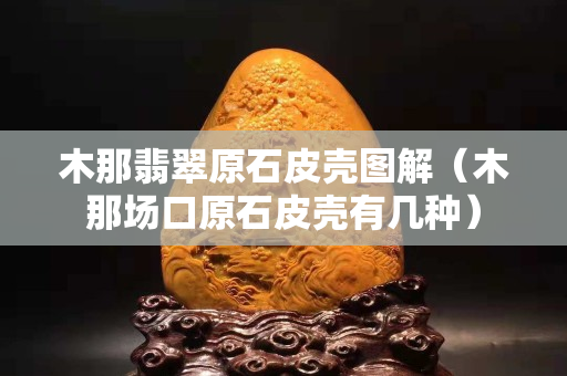 木那翡翠原石皮壳图解（木那场口原石皮壳有几种）