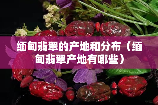 缅甸翡翠的产地和分布（缅甸翡翠产地有哪些）