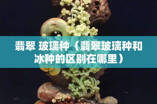 翡翠 玻璃种（翡翠玻璃种和冰种的区别在哪里）