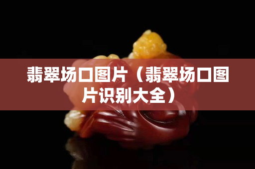 翡翠场口图片（翡翠场口图片识别大全）
