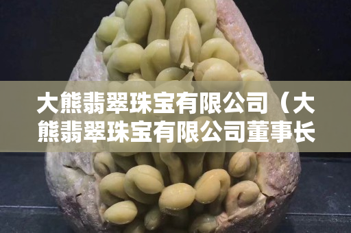 大熊翡翠珠宝有限公司（大熊翡翠珠宝有限公司董事长）