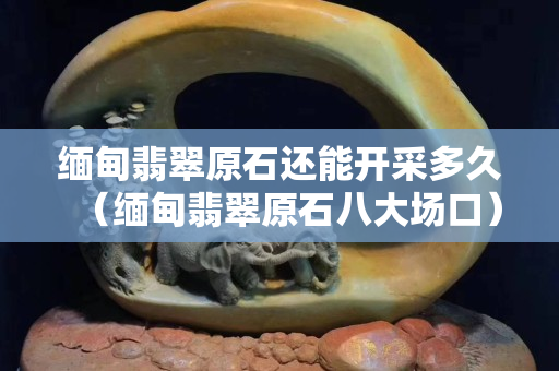 缅甸翡翠原石还能开采多久（缅甸翡翠原石八大场口）