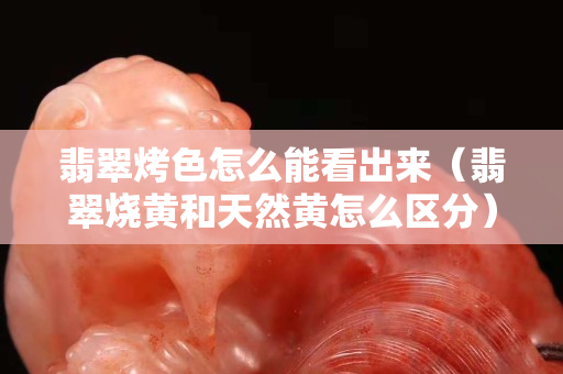 翡翠烤色怎么能看出来（翡翠烧黄和天然黄怎么区分）