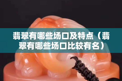 翡翠有哪些场口及特点（翡翠有哪些场口比较有名）