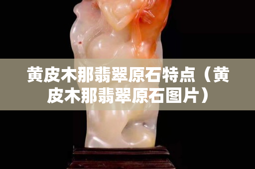 黄皮木那翡翠原石特点（黄皮木那翡翠原石图片）