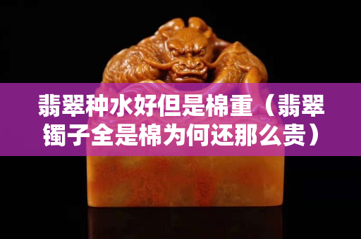 翡翠种水好但是棉重（翡翠镯子全是棉为何还那么贵）