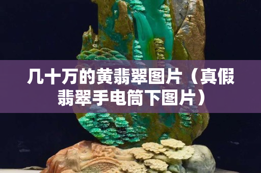 几十万的黄翡翠图片（真假翡翠手电筒下图片）