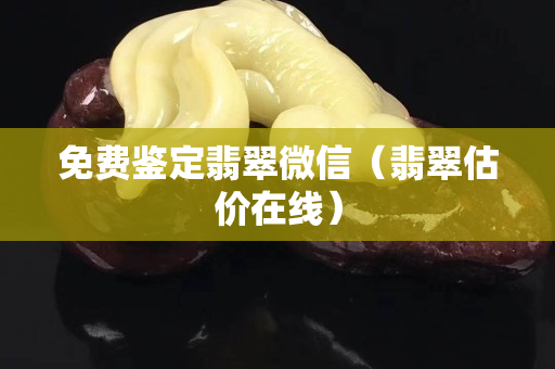 免费鉴定翡翠微信（翡翠估价在线）