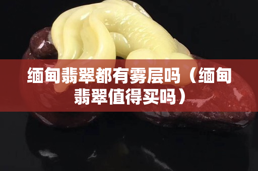 缅甸翡翠都有雾层吗（缅甸翡翠值得买吗）