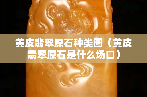 黄皮翡翠原石种类图（黄皮翡翠原石是什么场口）