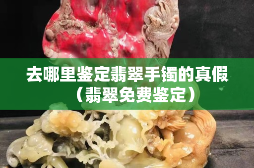 去哪里鉴定翡翠手镯的真假（翡翠免费鉴定）