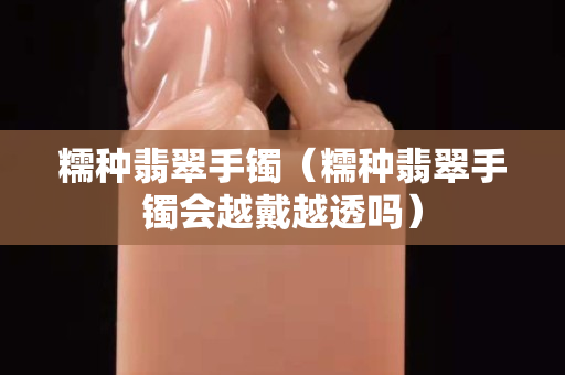 糯种翡翠手镯（糯种翡翠手镯会越戴越透吗）
