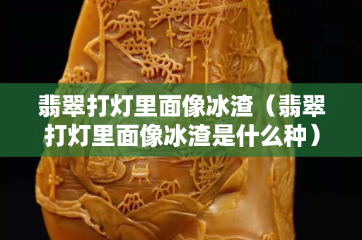 翡翠打灯里面像冰渣（翡翠打灯里面像冰渣是什么种）