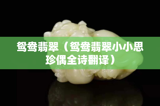 鸳鸯翡翠（鸳鸯翡翠小小思珍偶全诗翻译）