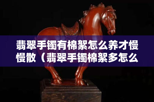 翡翠手镯有棉絮怎么养才慢慢散（翡翠手镯棉絮多怎么养才能透）
