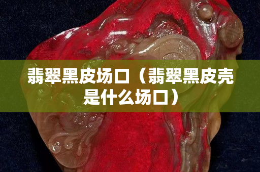 翡翠黑皮场口（翡翠黑皮壳是什么场口）