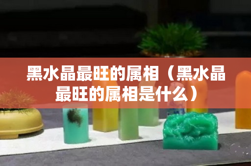 黑水晶最旺的属相（黑水晶最旺的属相是什么）