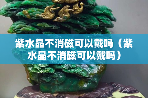 紫水晶不消磁可以戴吗（紫水晶不消磁可以戴吗）