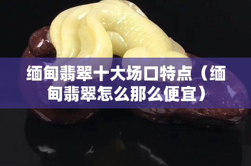 缅甸翡翠十大场口特点（缅甸翡翠怎么那么便宜）