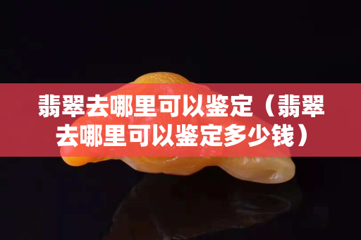 翡翠去哪里可以鉴定（翡翠去哪里可以鉴定多少钱）