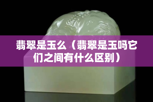 翡翠是玉么（翡翠是玉吗它们之间有什么区别）