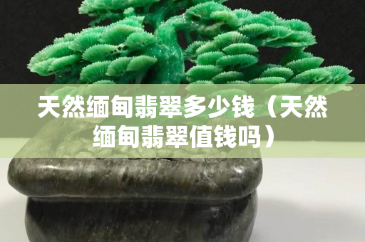天然缅甸翡翠多少钱（天然缅甸翡翠值钱吗）