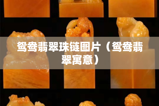 鸳鸯翡翠珠链图片（鸳鸯翡翠寓意）